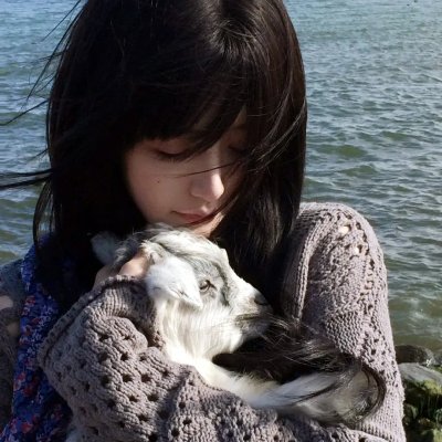 果树人生海报