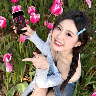 蔷薇风暴海报